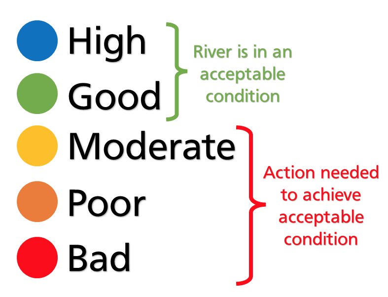 Water Framework Directive Classification (WFD)