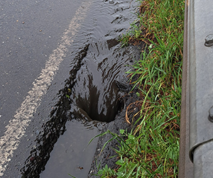 Pollution and water quality